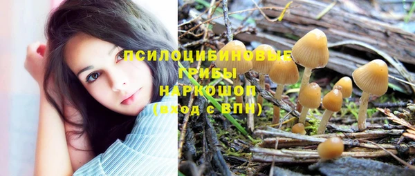 альфа пвп Белокуриха