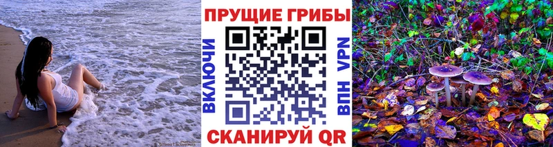 дарнет шоп  Новоузенск  Галлюциногенные грибы мицелий 